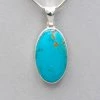 Acleoni Turquoise Pendant Pendants